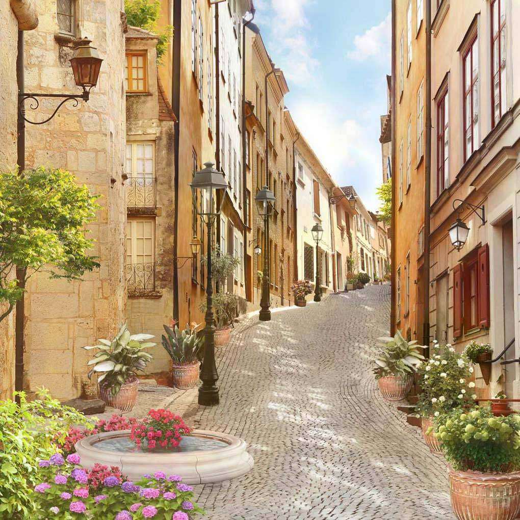 Фотообои в интерьере улочка европейская  17-0061 фото