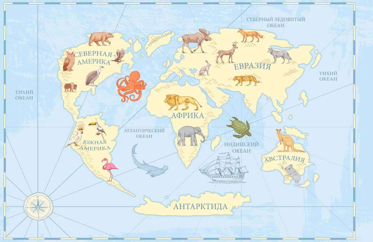 Фотообои в интерьере русская карта  12-506 фото