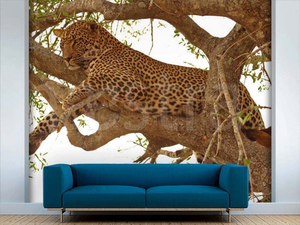 Фотообои На охоте  3-075