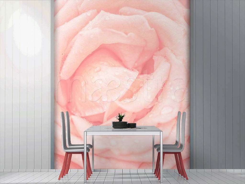 Фотообои Нежная роза живописная  10-248