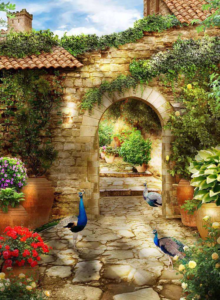 Фотообои в интерьере дворик с павлинами  17-0073 фото