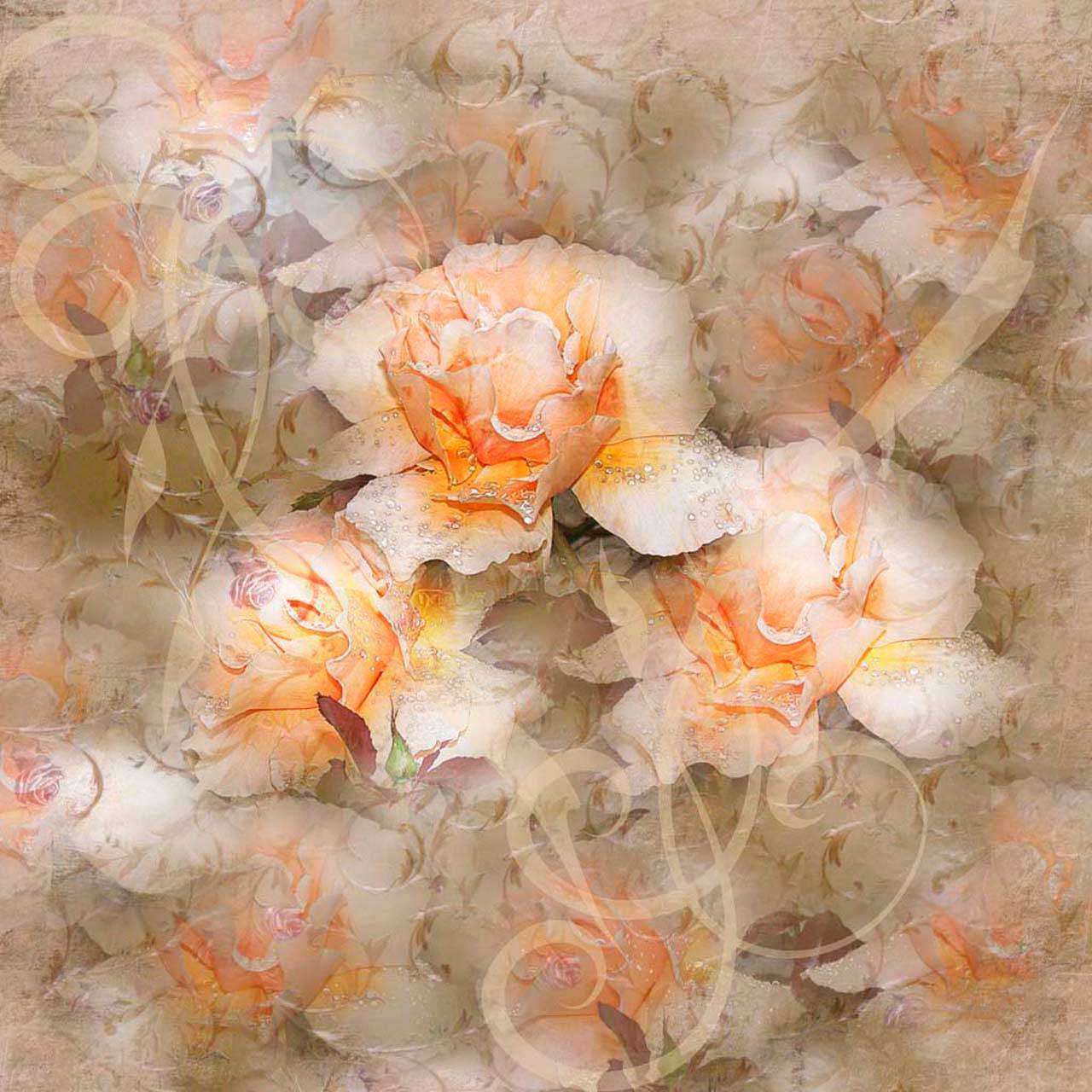 Фотообои в интерьере нежные розы абстракция  2-118 фото