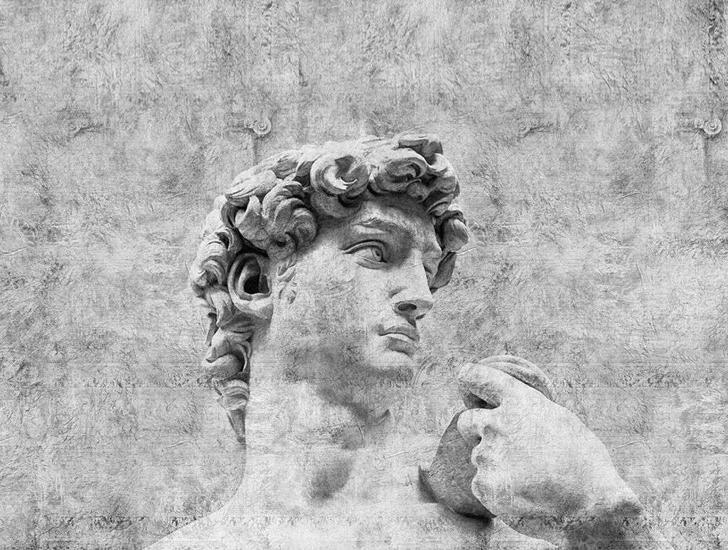 Фотообои в интерьере давид. бюст  14-675 фото