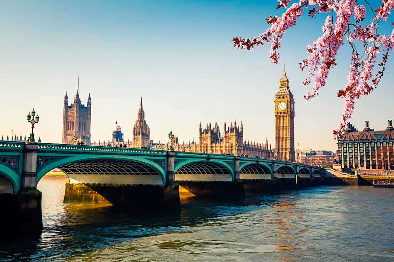 Фотообои в интерьере цветущий лондон  9-549 фото