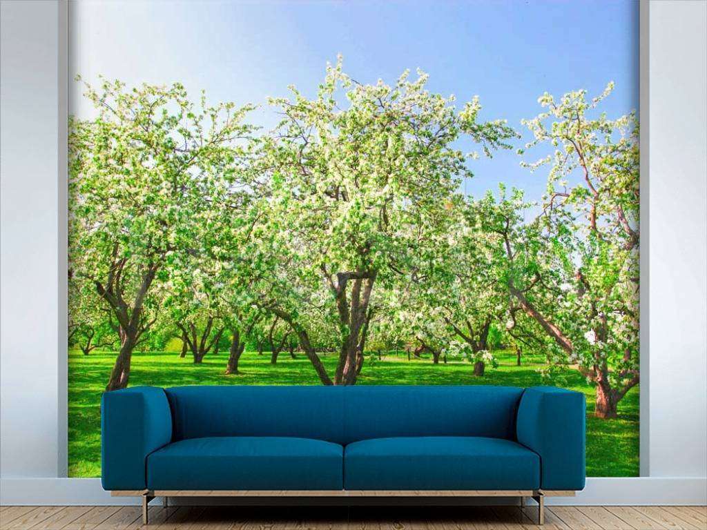 Фотообои Цветущие сады  10-093