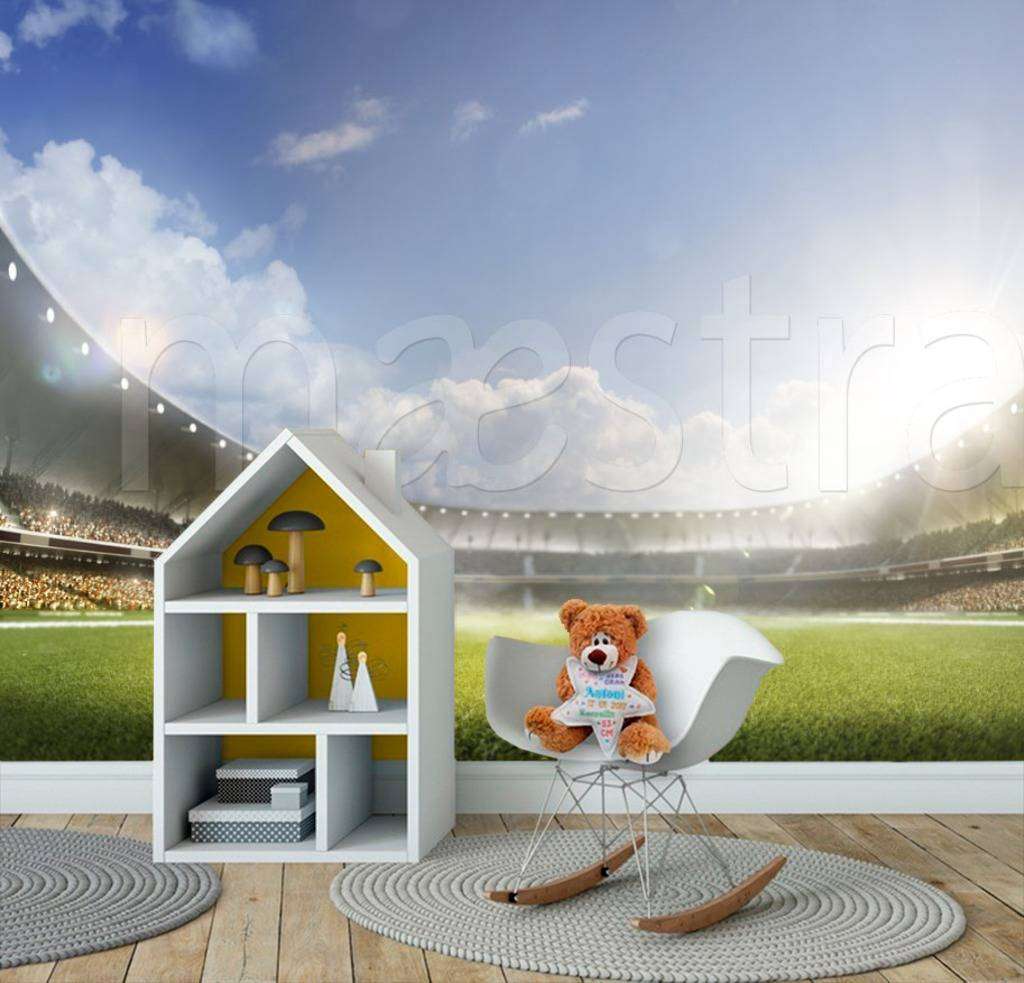 Фотообои в интерьере стадион после дождя  12-545 фото