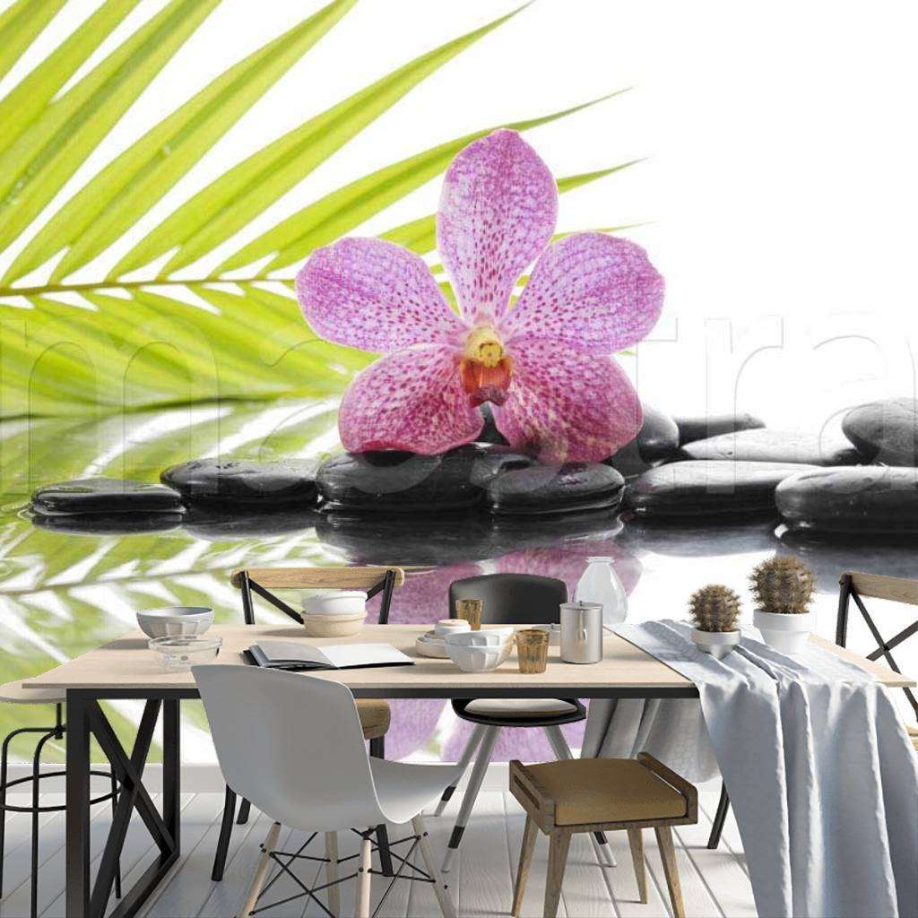 Фотообои цветок орхидеи на черных камнях  10-205