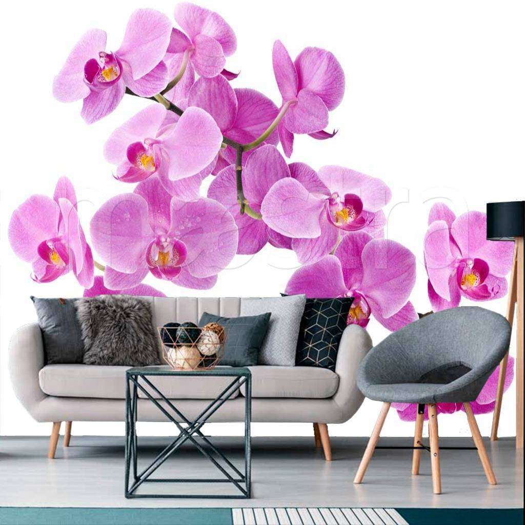 Фотообои Яркая розовая орхидея  9-103