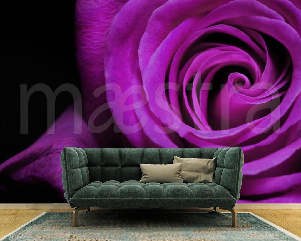 Фотообои 3д крупные розы на темном фоне  3-154
