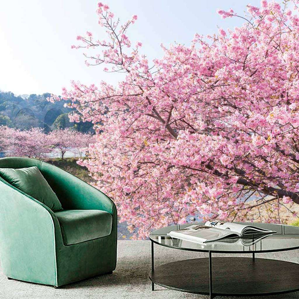 Фотообои Сакура на берегу реки  10-038
