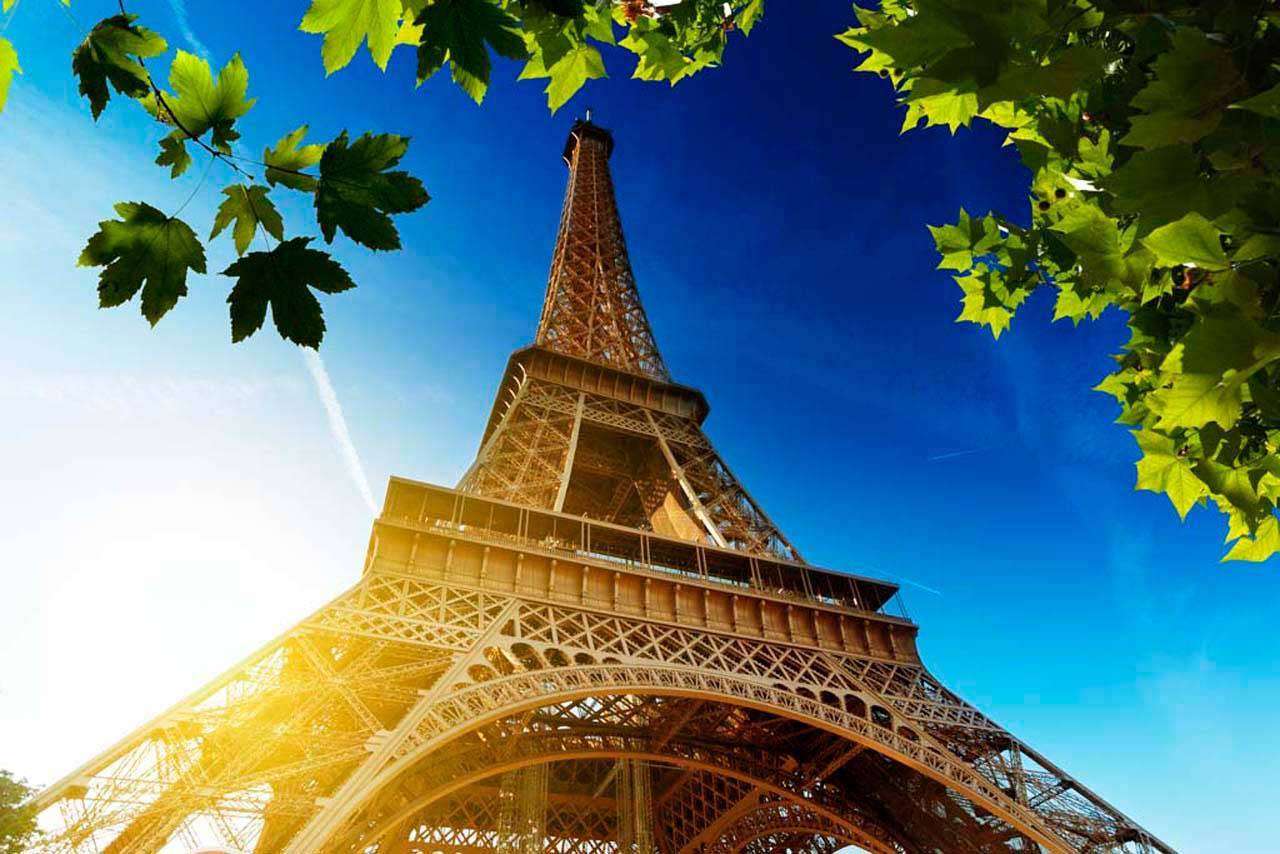 Фотообои в интерьере эйфелева башня днем  4-194 фото