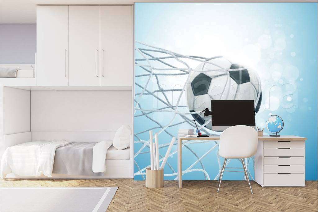 Фотообои в интерьере мяч в сетке на солнце  12-525 фото