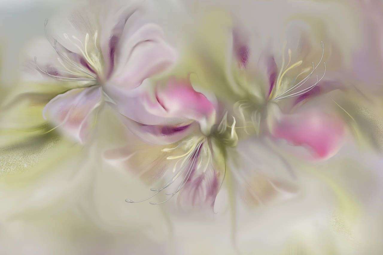 Фотообои в интерьере цветы розовые  13-735 фото