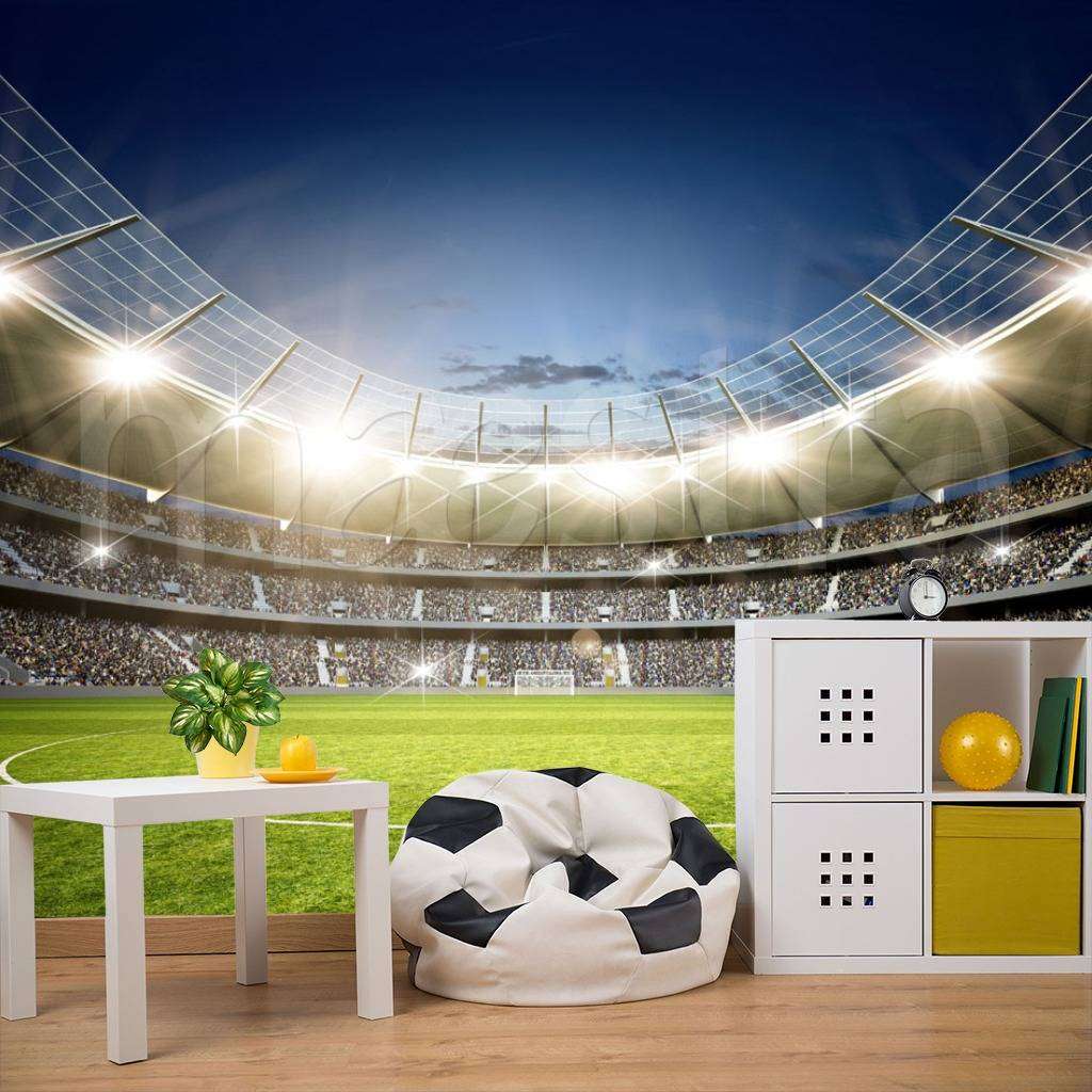 Фотообои в интерьере футбольное поле  12-549 фото