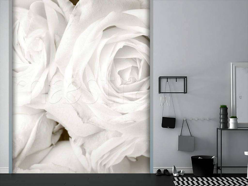 Фотообои Белые розы красивые  10-224