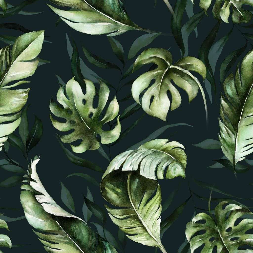 Фотообои в интерьере листья монстеры на черном фоне  9-1211 фото