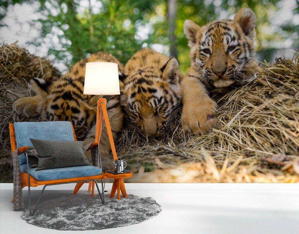 Фотообои Тигрята  9-2066