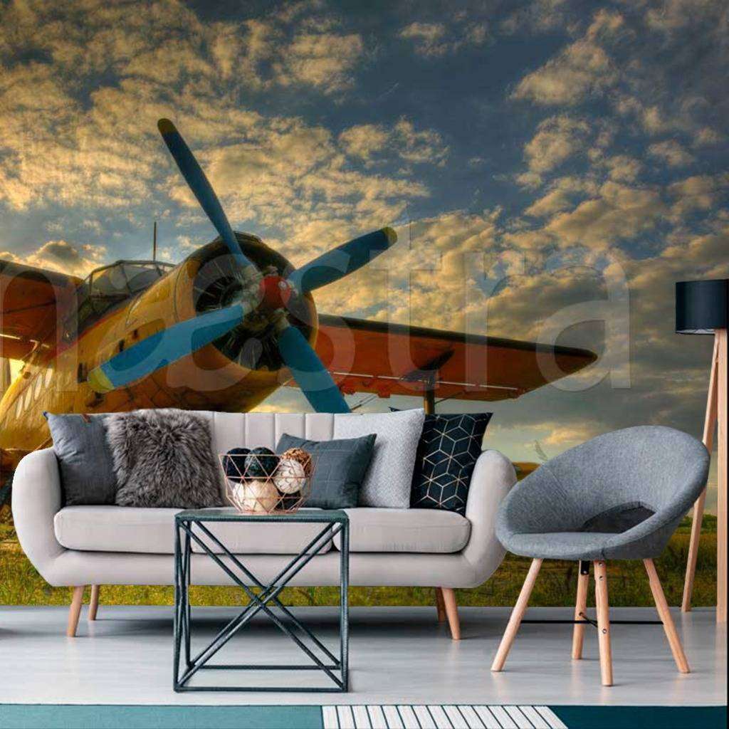 Фотообои Легкий самолет  9-216