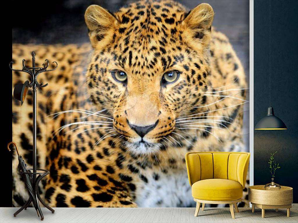 Фотообои Бесшовные обои на стену:  Леопард. Артикул: 4-159  