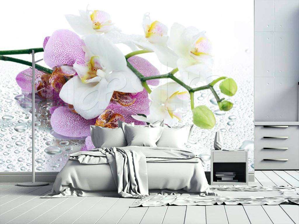 Фотообои в интерьере ветка розовой орхидеи и капли воды  4-016 фото