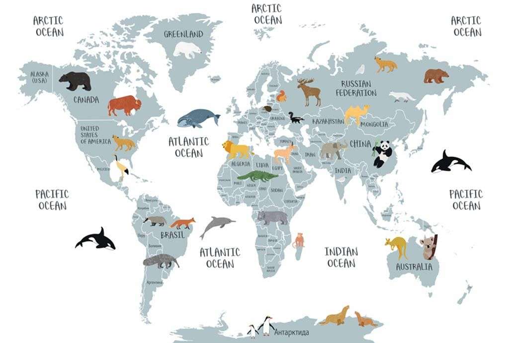 Фотообои в интерьере карта с русскими названиями  12-1005 фото