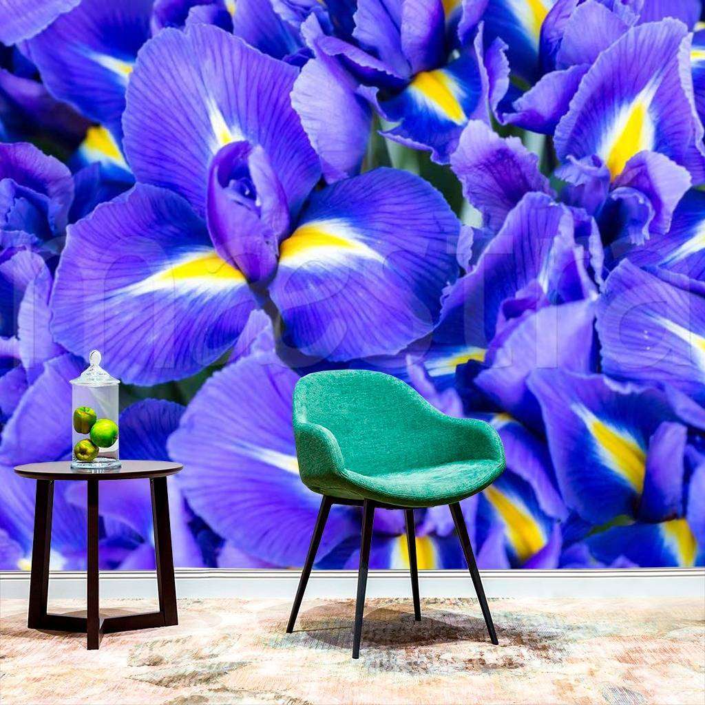 Фотообои Цветочный фон из ирисов  10-003