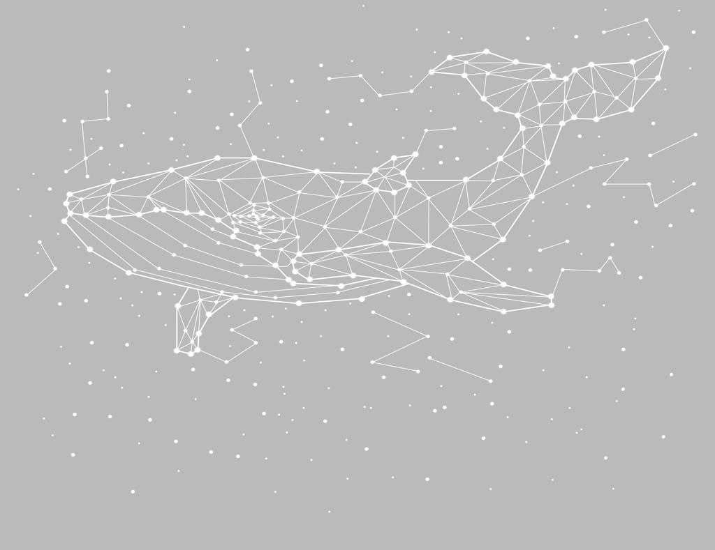 Фотообои в интерьере созвездие кит  14-301 фото