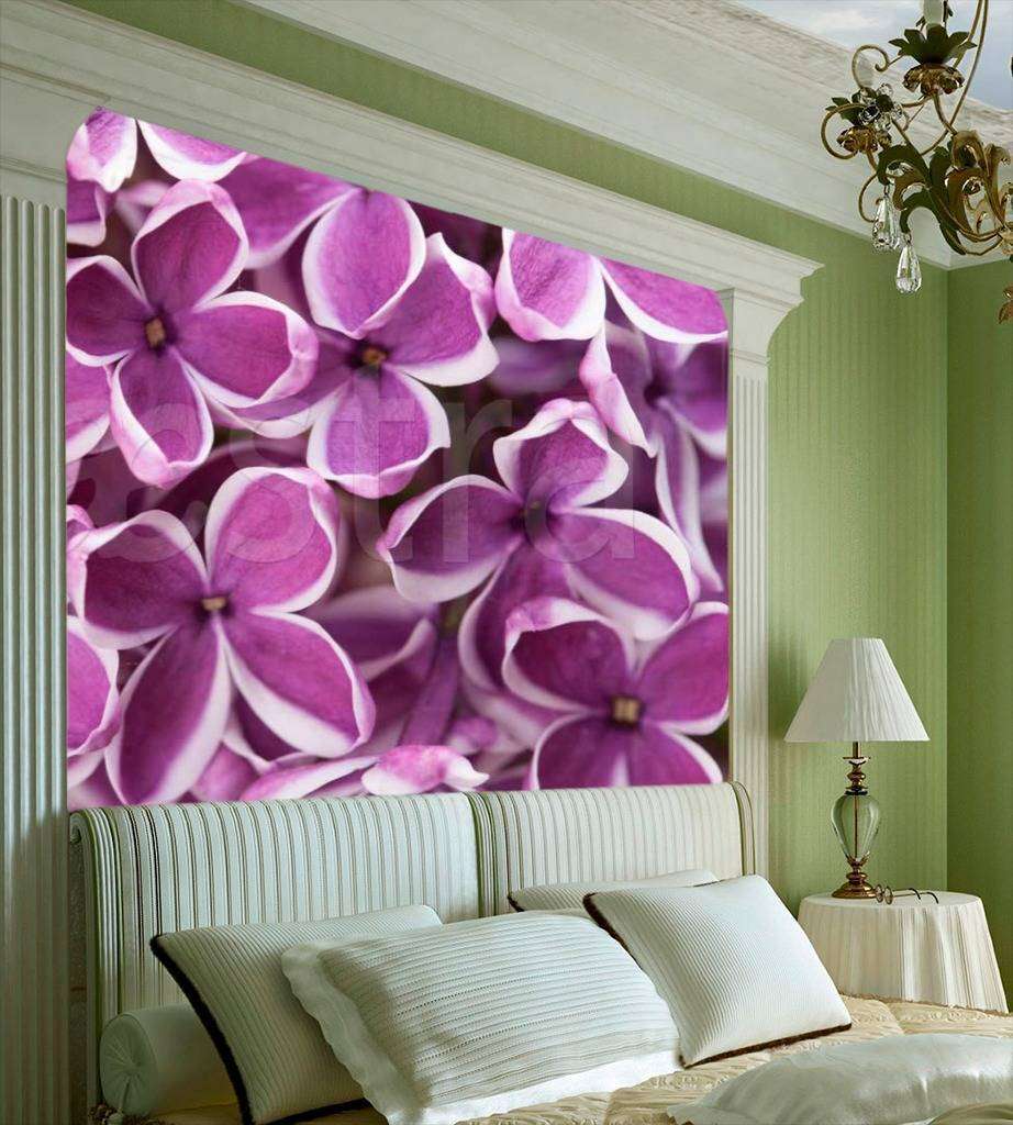 Фотообои Цветы сирени  10-060