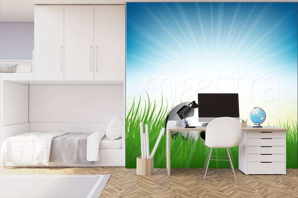 Фотообои в интерьере мяч в траве на солнце  12-551 фото