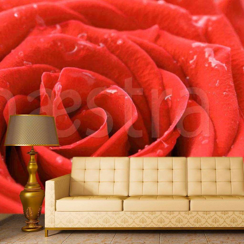 Фотообои Красная роза великолепная  10-290