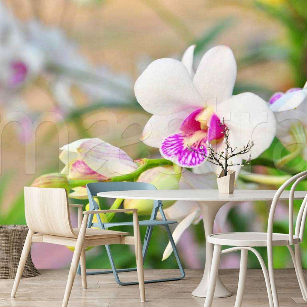 Фотообои в интерьере цветок белой орхидеи  10-188 фото