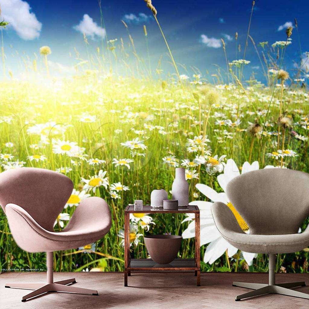 Фотообои Поле ромашек и лучи солнца  9-387