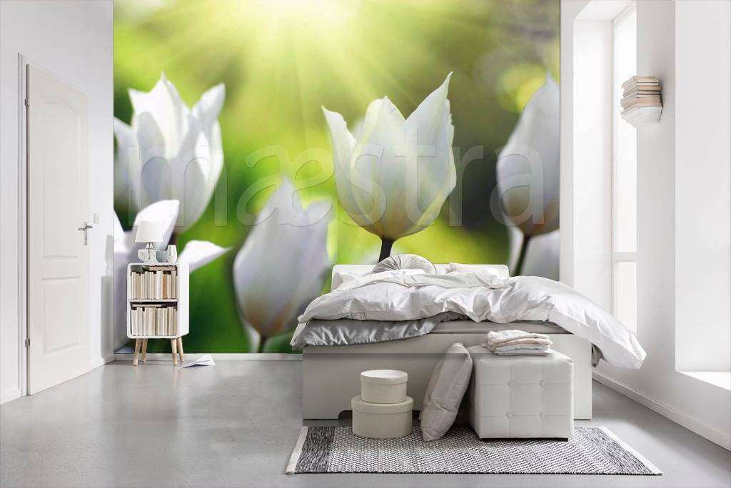 Фотообои Бесшовные обои на стену:  Белые тюльпаны. Артикул: 4-054  