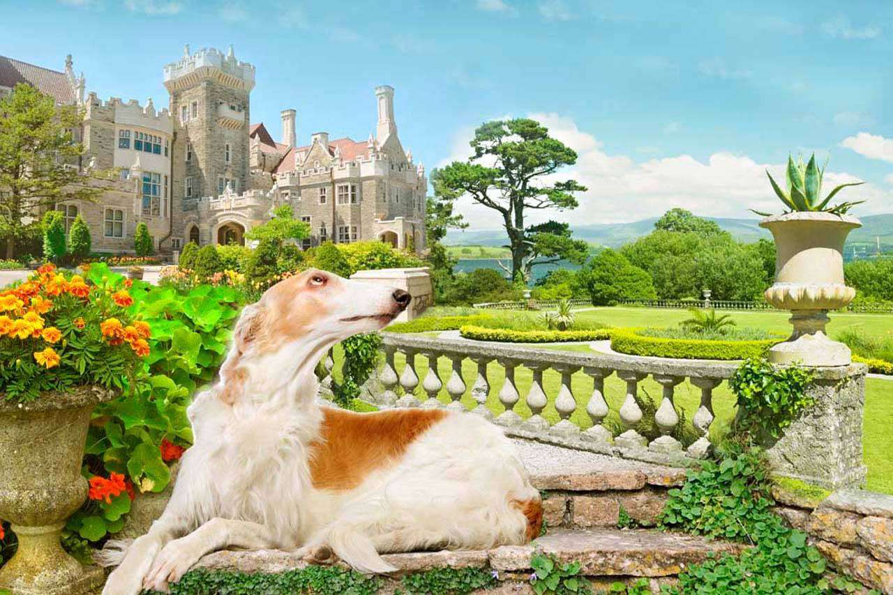 Фотообои в интерьере старинный замок у реки  5-048 фото