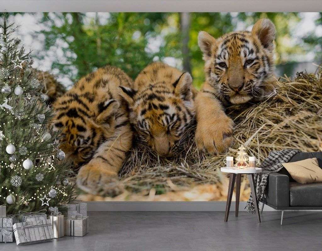 Фотообои в интерьере тигрята  9-2066 фото