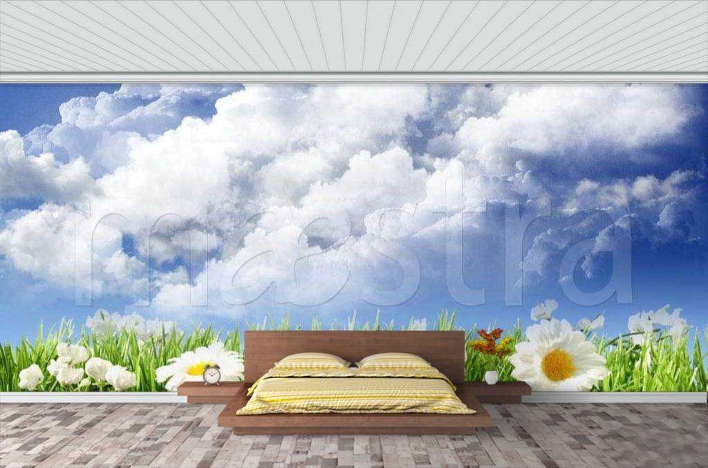 Фотообои Большие ромашки 3 д в поле и белые облака  9-388