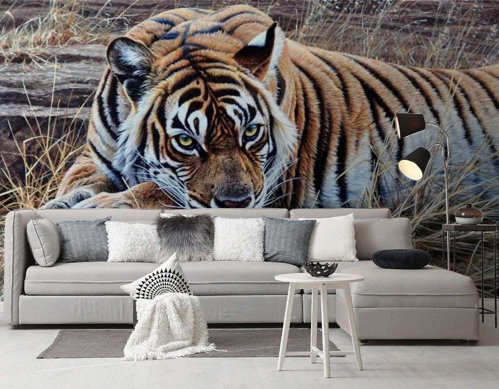 Фотообои в интерьере уссурийский тигр  17-4423 фото