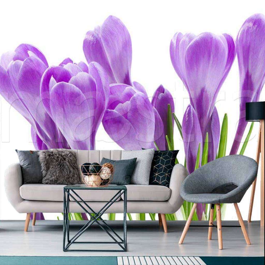 Фотообои Сиреневые крокусы  9-068