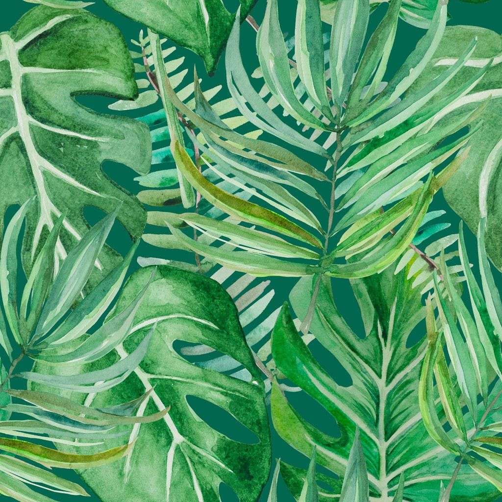 Фотообои в интерьере листья монстеры и папоротника  9-991 фото