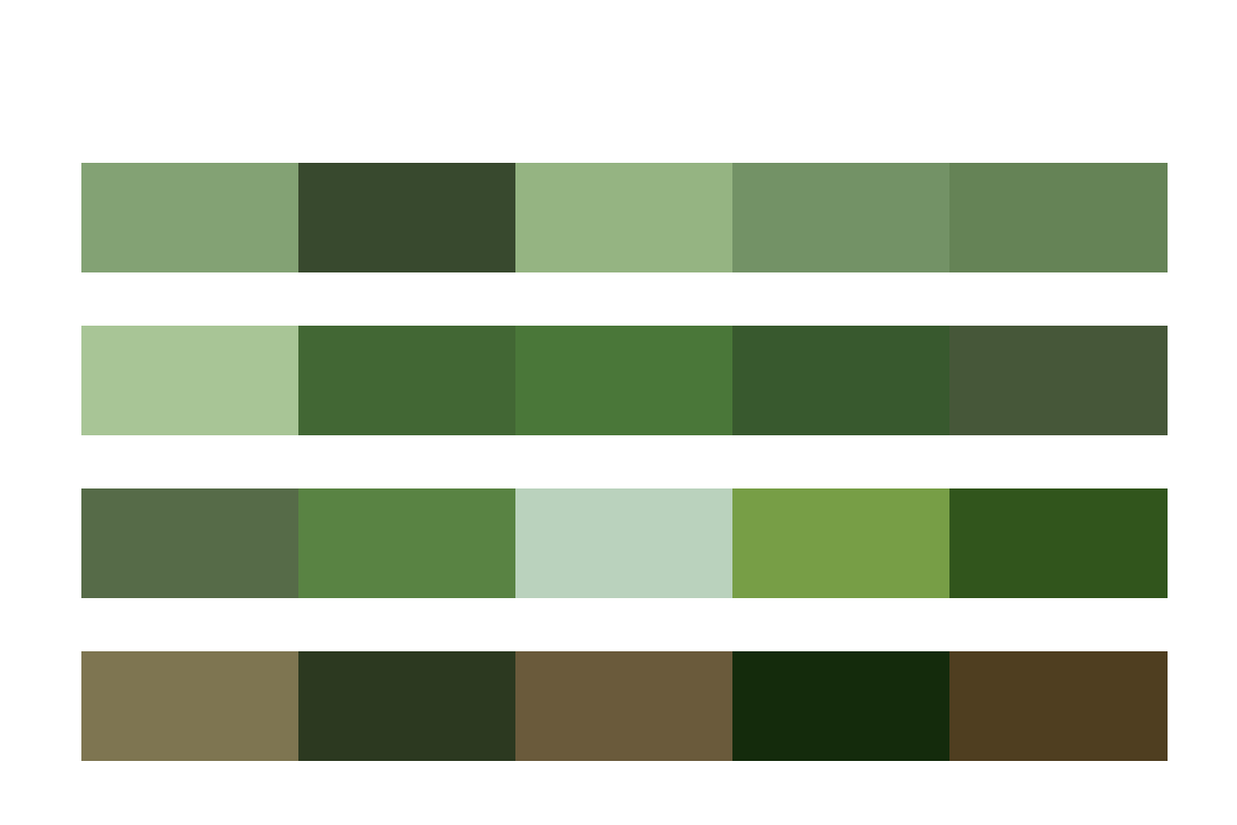 Фотообои в интерьере бесшовные обои на стену:  тропический лес в детскую. артикул: 12-1500   фото