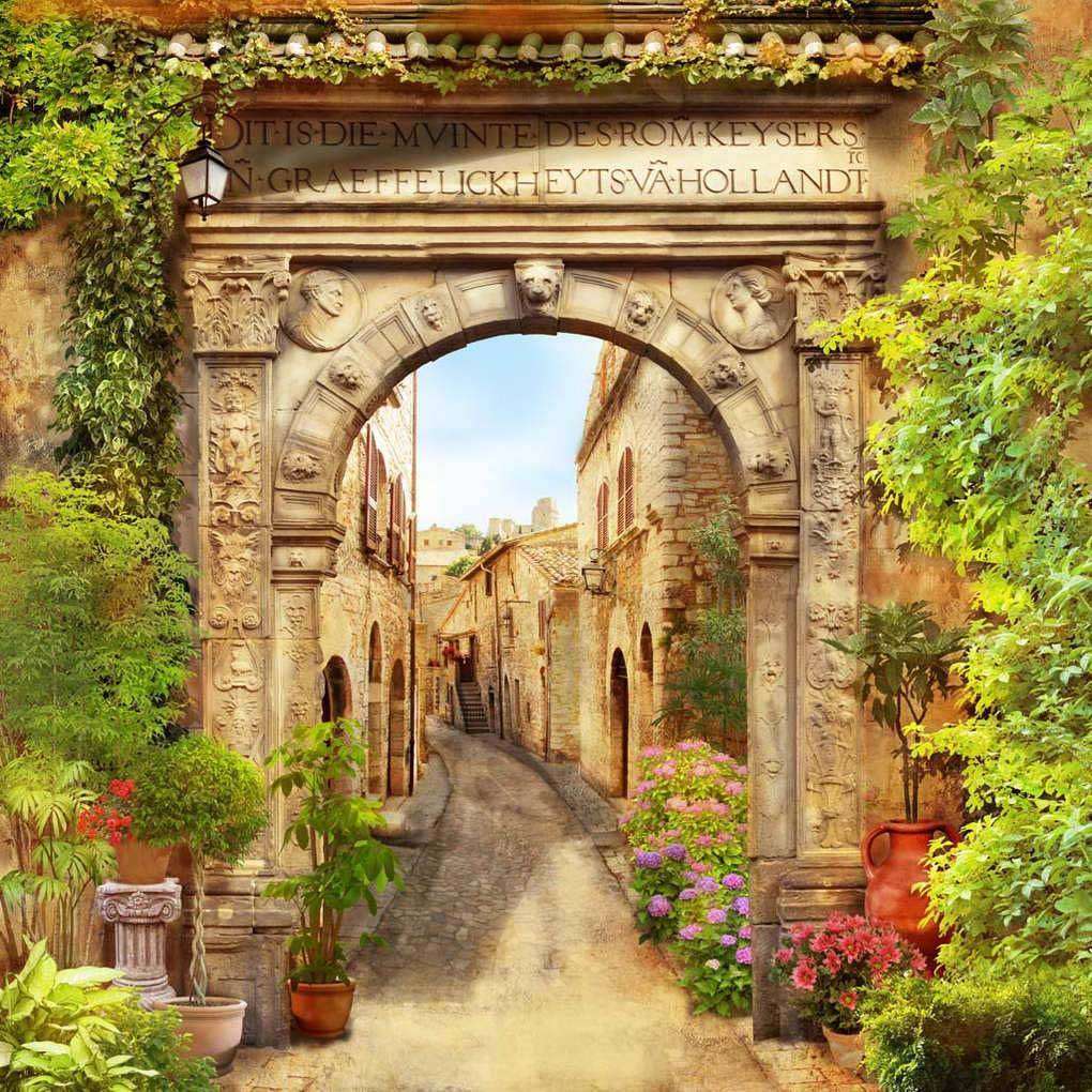 Фотообои в интерьере арка классическая  17-0067 фото