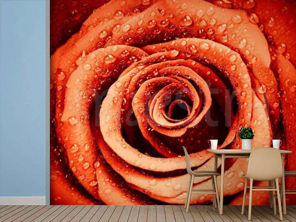 Фотообои Роза с каплями воды живописная  10-283