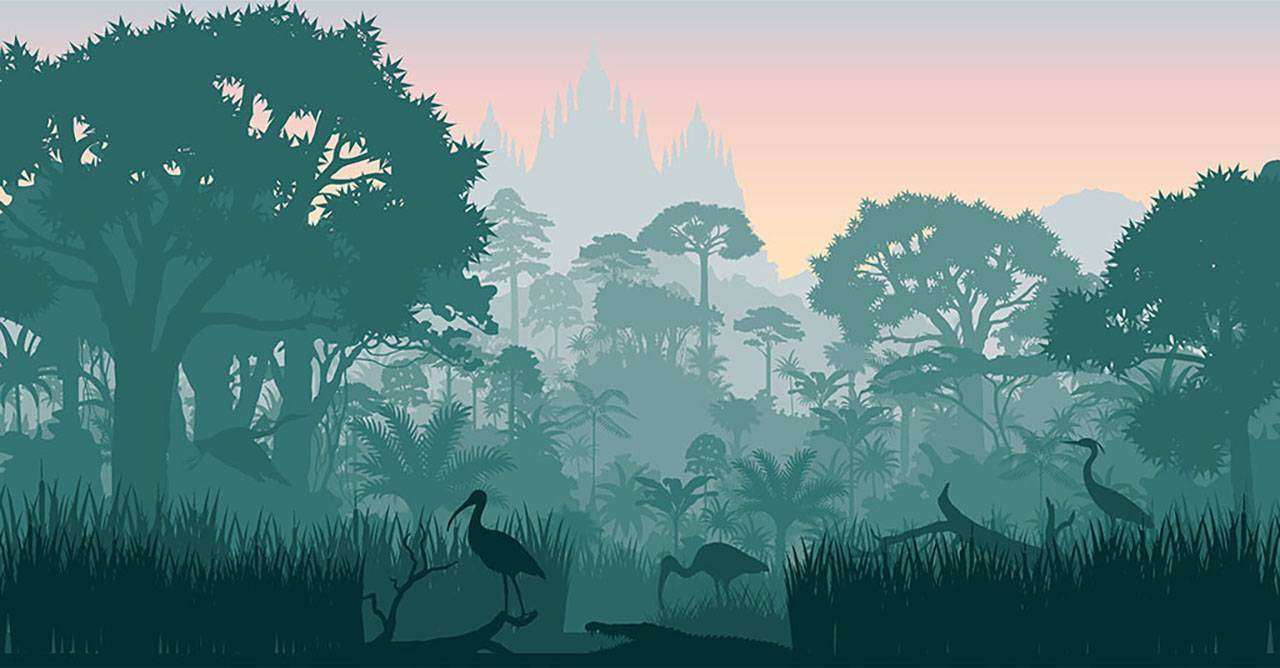 Фотообои в интерьере африка в дымке  12-488 фото