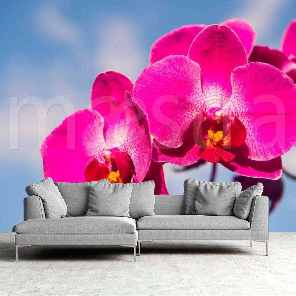 Фотообои Розовая орхидея на фоне неба  10-179