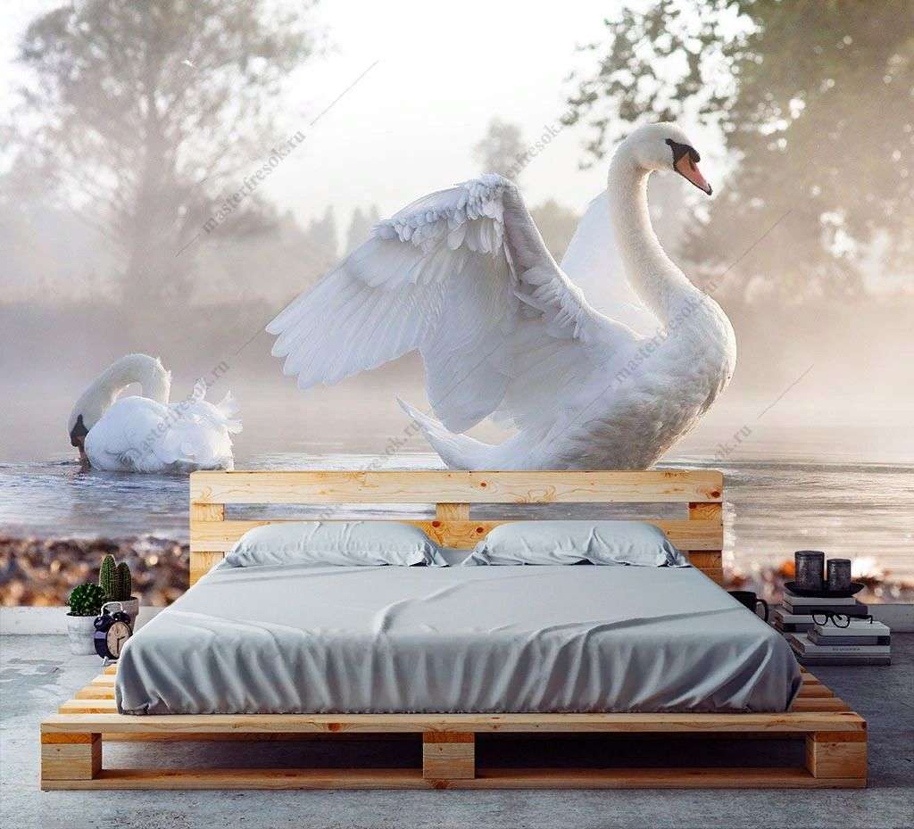 Фотообои в интерьере лебедь с расправлеными крыльями  9-1738 фото
