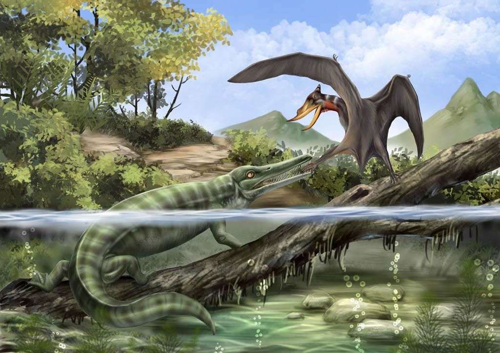 Фотообои в интерьере динозавр фэнтези  12-1110 фото