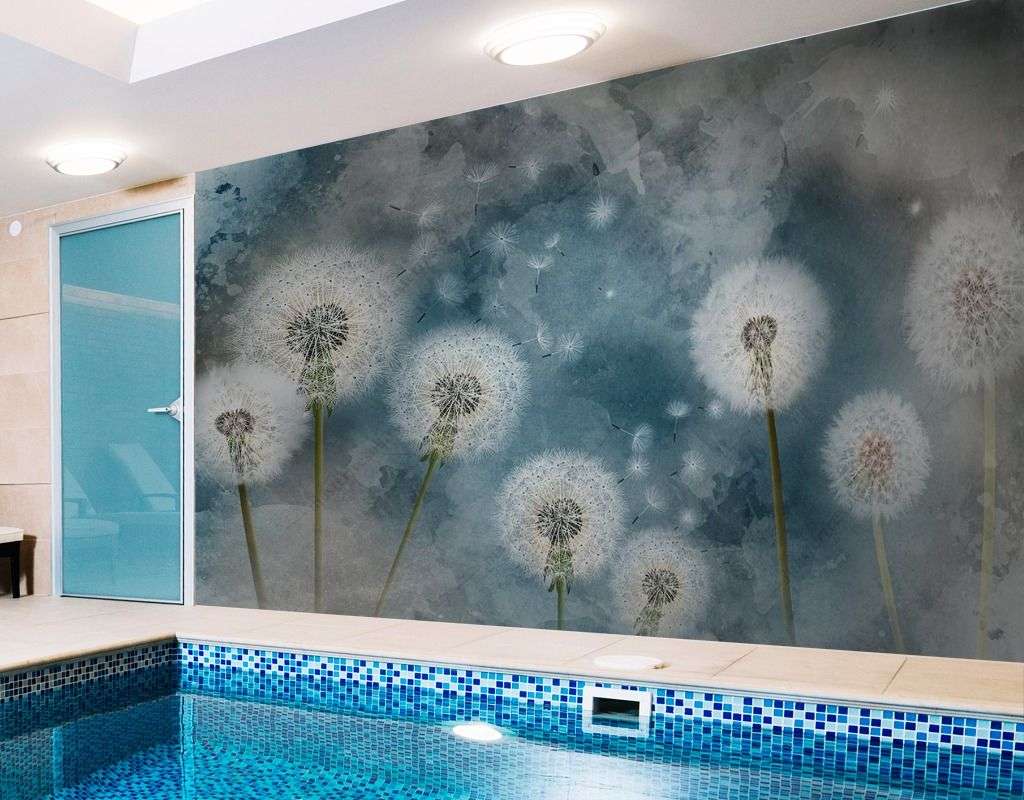 Фотообои в интерьере одуванчики на синем фоне  14-476 фото