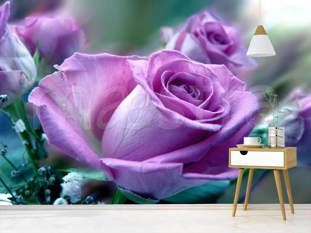 Фотообои Крупная сиреневая роза  3-169