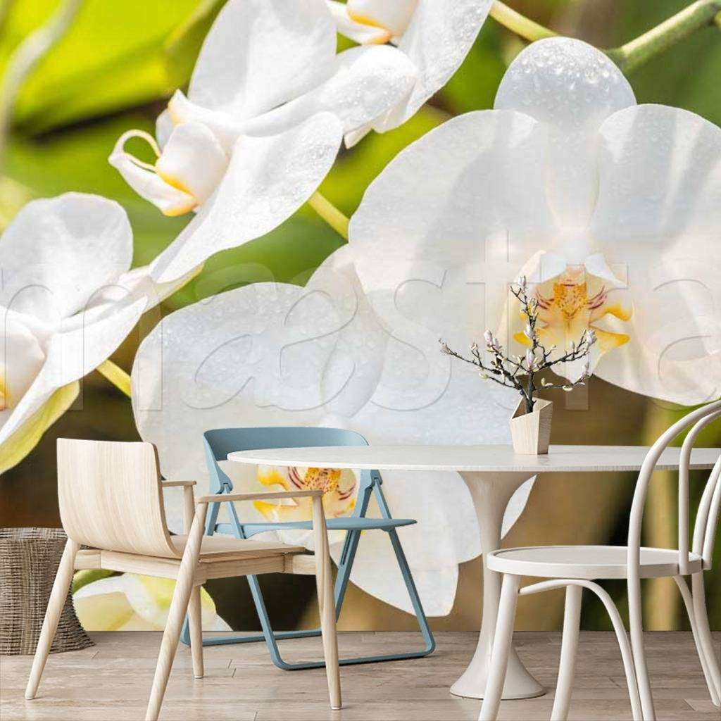 Фотообои в интерьере красивая веточка орхидеи  10-186 фото