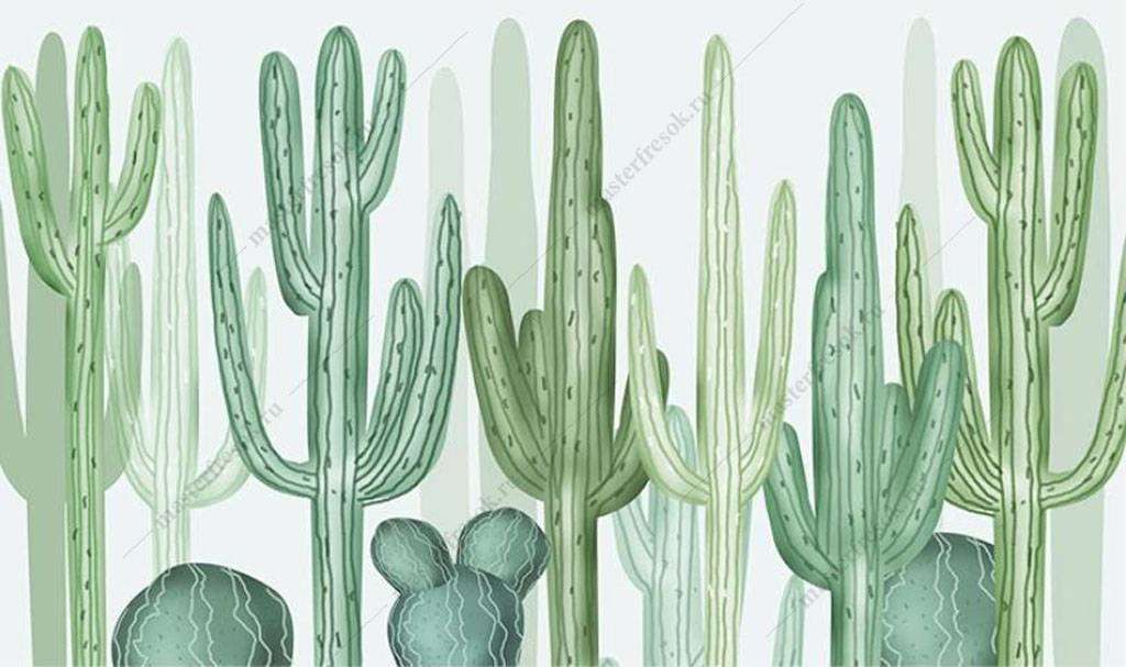 Фотообои в интерьере зеленые кактусы  16-115 фото